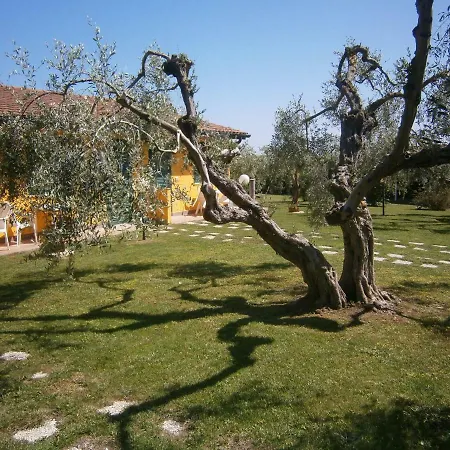 La Grande Quercia * Capalbio